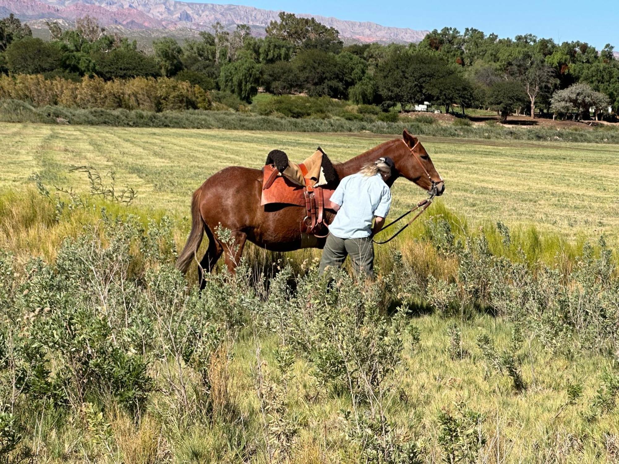 Estancia Banda Grande - Horse & Hiking Safaris Molinos Exterior photo