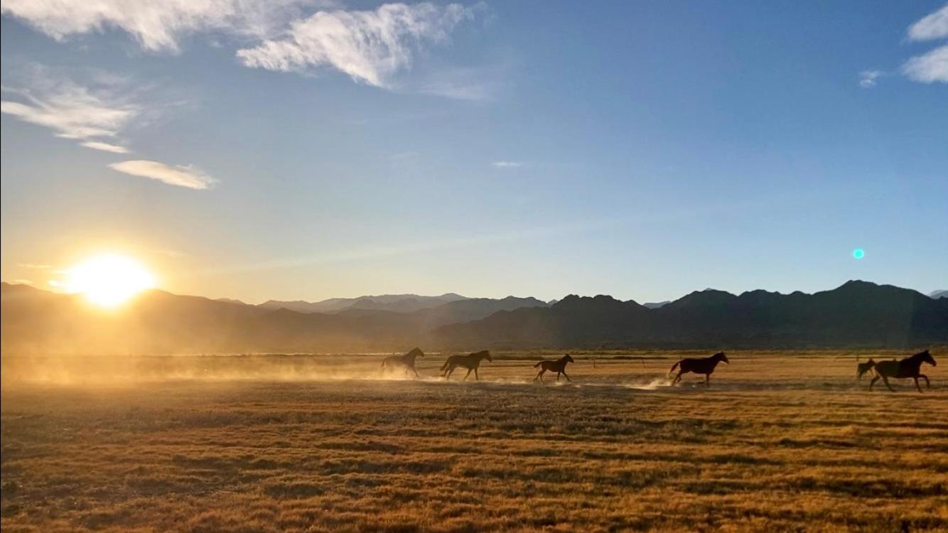 Estancia Banda Grande - Horse & Hiking Safaris Molinos Exterior photo
