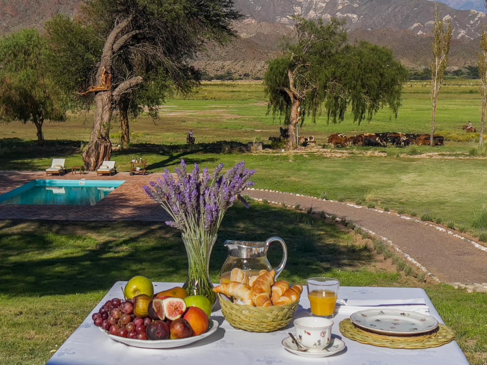 Estancia Banda Grande - Horse & Hiking Safaris Molinos Exterior photo